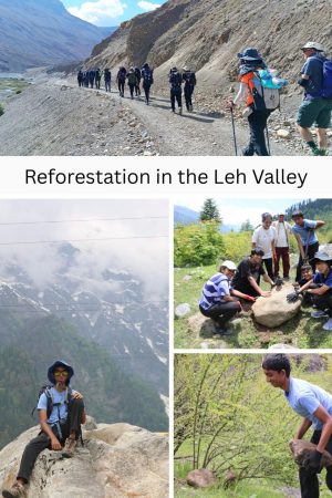 WhatsApp Image 2025-10-23 at 4.57.48 PM